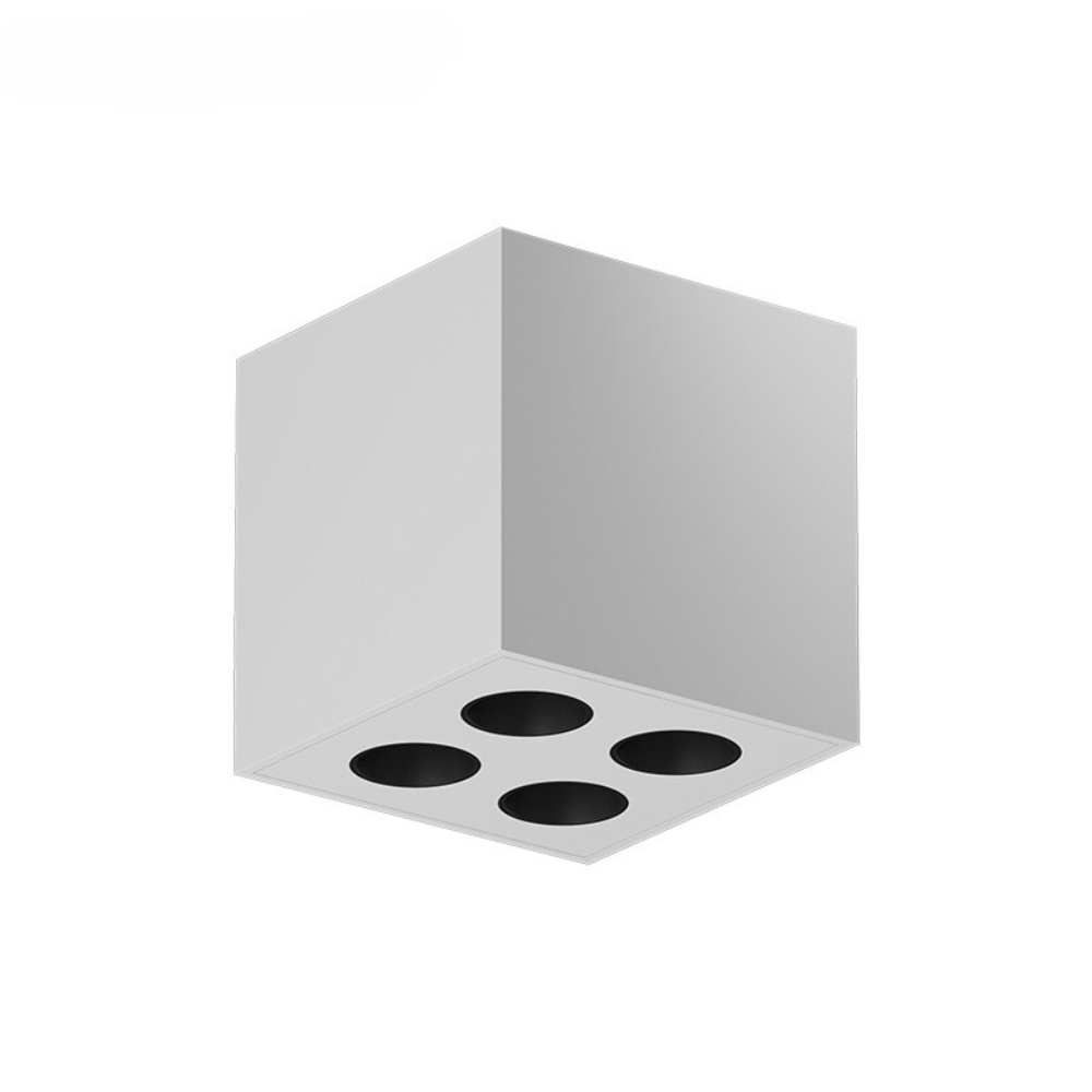 Surface-mounted downlight