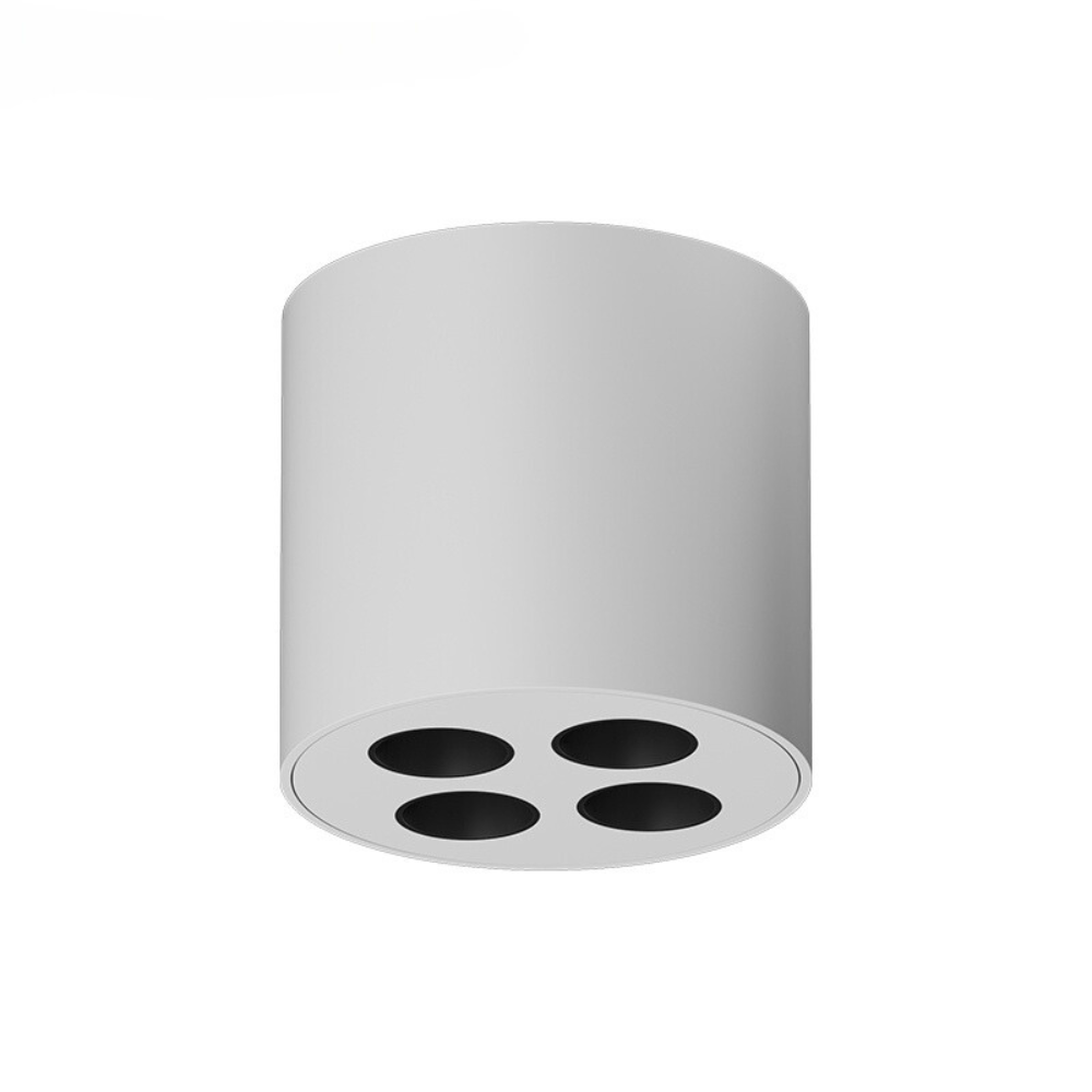 Surface-mounted downlight