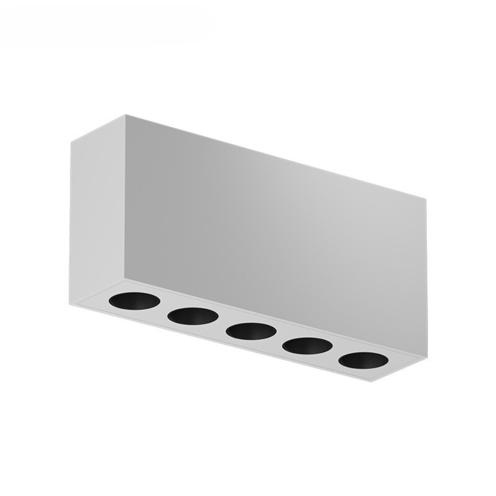 Surface-mounted downlight
